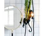 Monkey lamp  фото