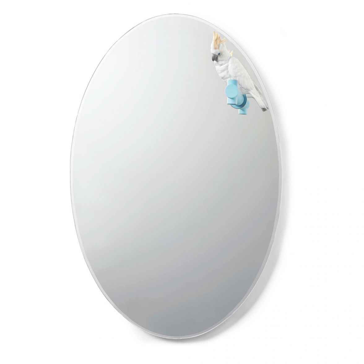 Parrot Shine II mirror