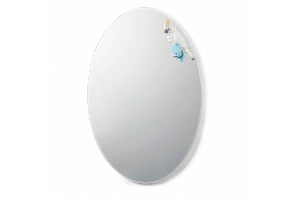 Parrot Shine II mirror  фото цена