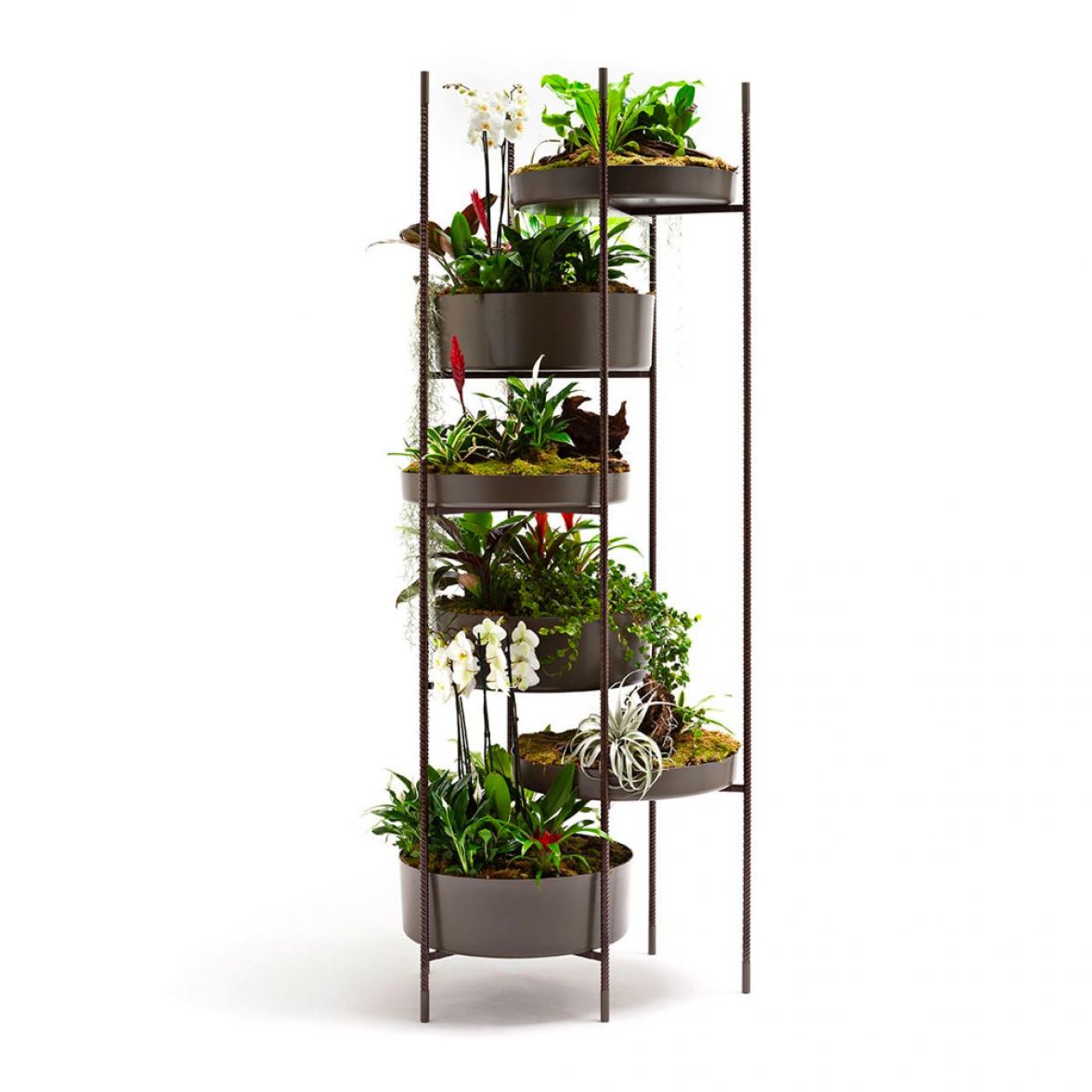 VERTICAL GARDEN