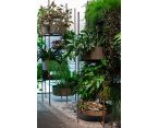 VERTICAL GARDEN фото